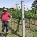 No caminho do Enoturismo: Com rótulos premiados, Vinícola Franco Italiano é destaque em sua produção de vinhos e atrai visitantes 59 eno-turismo-vinicola-franco-italiana-8