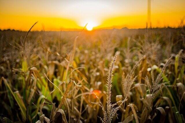 agronoticias