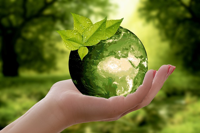 relatorio-sustentabilidade