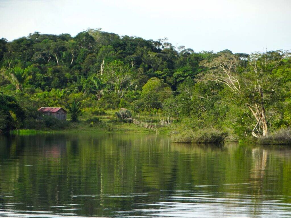 fundo-amazonia (1)