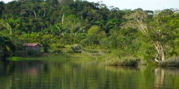 BNDES destina R$ 33,6 milhões do Fundo Amazônia para apoiar populações indígenas no Acre 1 fundo-amazonia (1)