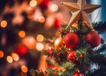 Sidra e enfeites de Natal lideram a lista dos itens natalinos mais tributados
