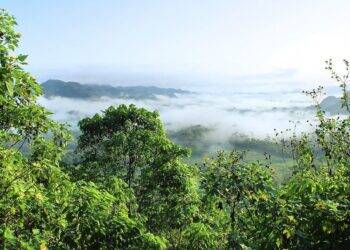 BNDES-assume-presidencia-da-Coalizao-Verde (1)