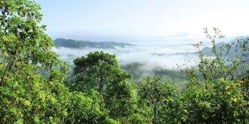 BNDES assume presidência da Coalizão Verde, que deve mobilizar até US$ 20 bi para a Amazônia em 7 anos 1 BNDES-assume-presidencia-da-Coalizao-Verde (1)