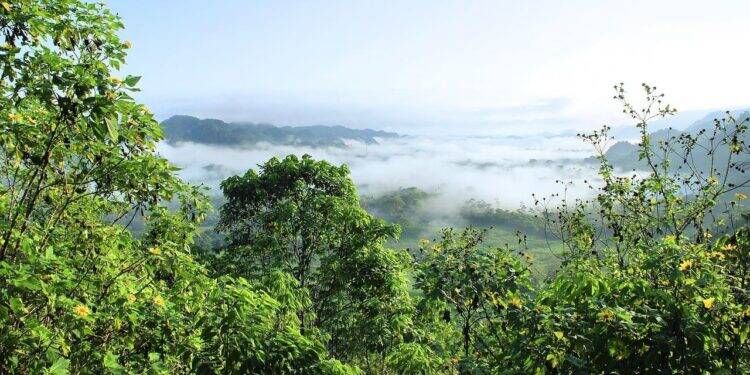 BNDES-assume-presidencia-da-Coalizao-Verde (1)