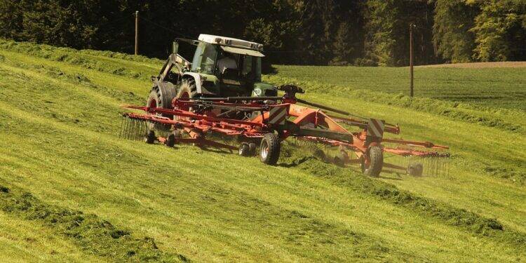 CVM-pautas-agro