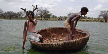 Pantanal-projetos-restauracao (1)