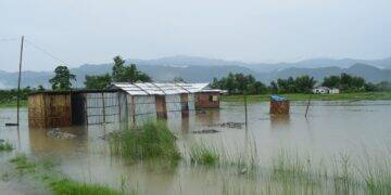 Ministério da Agricultura e Pecuária cria programa para municípios de RS, SC, MG e SP atingidos por efeitos climáticos extremos 1 calamidade-publica (1)
