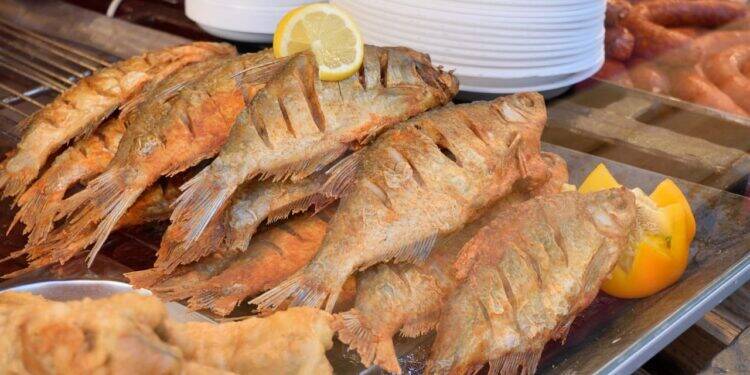 pescados-e-derivados-brasileiros (1)