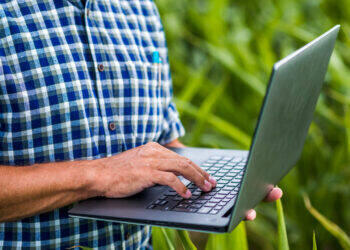 Inbound marketing ajuda alavancar o setor de agro no país