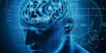 Aprender idiomas expande as fronteiras da cognição humana