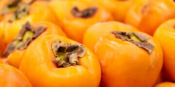 Campanha do Caqui Persimon vai até Janeiro