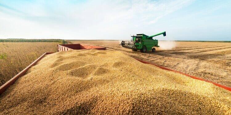 Produtores em RJ poderão ter safra de soja preservada 16 Produtores em RJ poderão ter safra de soja preservada