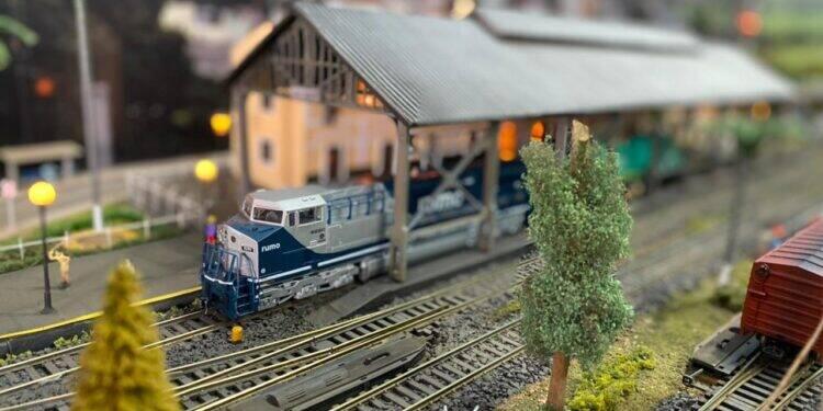 Frateschi integra seleto grupo de empresas com mais de 50 anos no Brasil 16 Frateschi integra seleto grupo de empresas com mais de 50 anos no Brasil