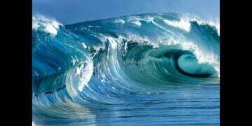 Reciclar plásticos do mar é preservar o ecossistema marinho 3 Reciclar plásticos do mar é preservar o ecossistema marinho