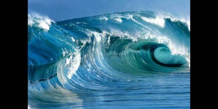 Reciclar plásticos do mar é preservar o ecossistema marinho 16 Reciclar plásticos do mar é preservar o ecossistema marinho