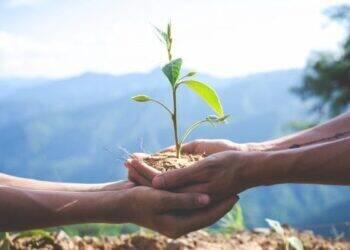 Sucessão é desafio para empresas agrícolas familiares