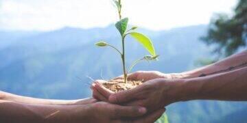 Sucessão é desafio para empresas agrícolas familiares 3 Sucessão é desafio para empresas agrícolas familiares