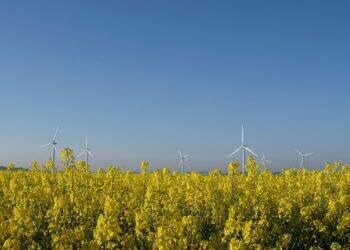 Forum-Economico-Mundial-biocombustivel (1)