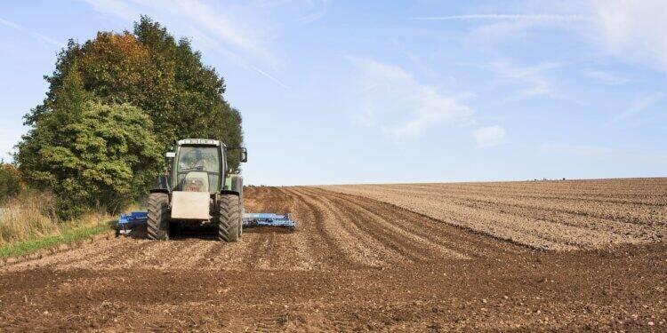 agropaulista-registro (1)