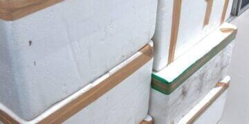 carnaval-2024-cadastro-vendedores