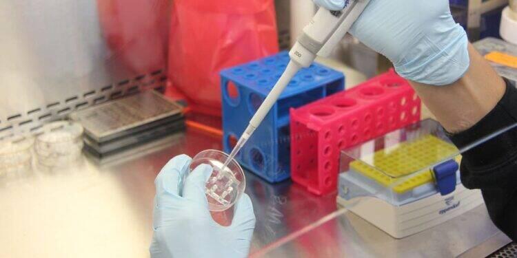 KFSH&RC Reconhece 25 Cientistas Nomeados Entre os 2% Pesquisadores Mais Citados de Stanford em Todo o Mundo 24 KFSH&RC Reconhece 25 Cientistas Nomeados Entre os 2% Pesquisadores Mais Citados de Stanford em Todo o Mundo cientistas 1