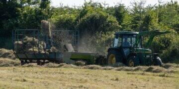 Crédito rural do BB cresce 8,4% e atinge recorde em 2023 1 credito-rural (1)