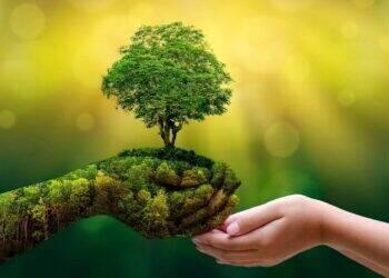 Ecoturismo brasileiro abrange sustentabilidade e responsabilidade ambiental