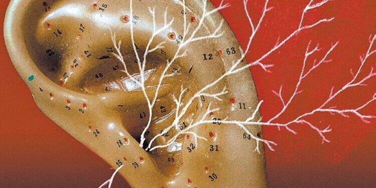 Poluição sonora prejudica a avaliação no Índice de Desenvolvimento Humano