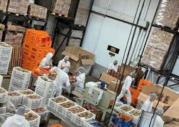 Queijos Regina aposta em crescimento de 20%