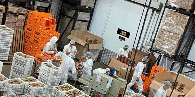 Queijos Regina aposta em crescimento de 20%