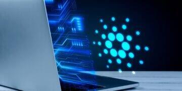 Brasileiro mira mercado americano de TI e IA