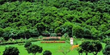 Grupo Jardim da Saudade publica seu primeiro relatório ESG 3 Grupo Jardim da Saudade publica seu primeiro relatório ESG