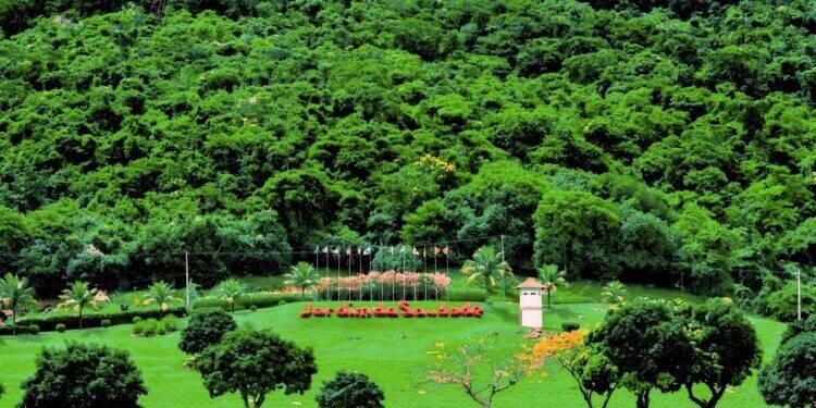 Grupo Jardim da Saudade publica seu primeiro relatório ESG 16 Grupo Jardim da Saudade publica seu primeiro relatório ESG