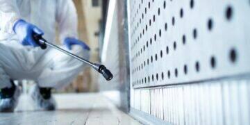 Dedetização correta evita proliferação de pragas urbanas 3 Dedetização correta evita proliferação de pragas urbanas