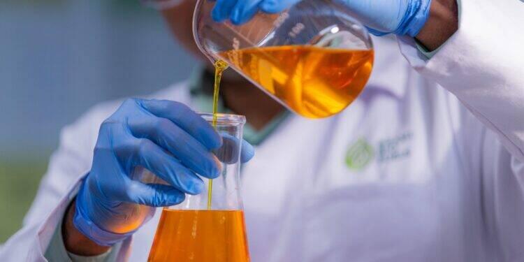 Amazônia brasileira detém a energia do futuro