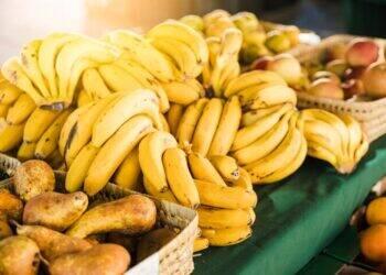 Setor de alimentos saudáveis deve crescer 27% até 2025