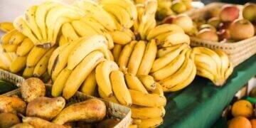 Setor de alimentos saudáveis deve crescer 27% até 2025