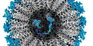 Nova tecnologia promove repigmentação capilar