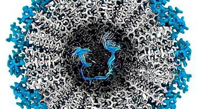 Nova tecnologia promove repigmentação capilar