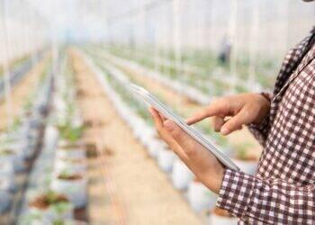 Agronegócio brasileiro atinge recorde de exportações em 2023