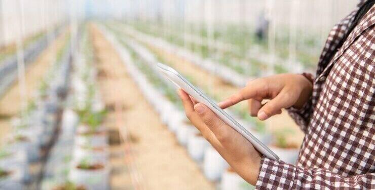 Agronegócio brasileiro atinge recorde de exportações em 2023