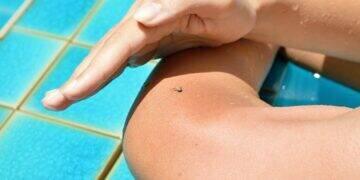 Surto de dengue acende alerta para cuidados com piscinas