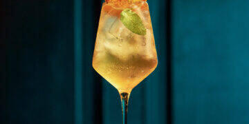 MONIN anuncia abertura de inscrições de campeonato global para bartenders 3 MONIN anuncia abertura de inscrições de campeonato global para bartenders