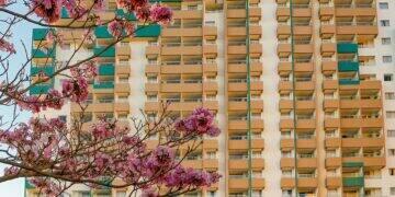 Como Olímpia pretende atrair 6 milhões de visitantes em 2024 3 Como Olímpia pretende atrair 6 milhões de visitantes em 2024