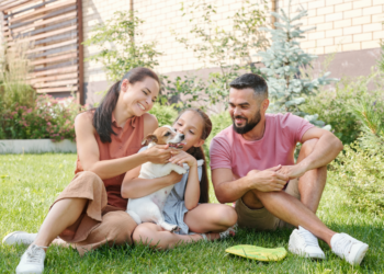 Proptech lança portal de imóveis com busca por pets