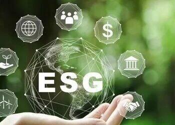 Ações em ESG norteiam investimentos e definem preferências de consumo