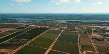 Zanlorenzi recebe R$39 mi para inovação com o apoio da Macke