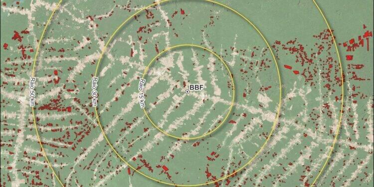 Área próxima ao Grupo BBF em Roraima tem menos desmatamento