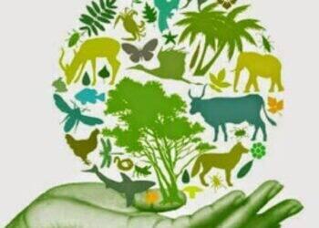 Dia Internacional da Biodiversidade é comemorado em 22 de maio